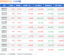 <strong>从力资金净流入</strong>